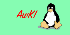 Awk Shell Scripting de novato a experto