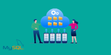 MySQL Database Administrator