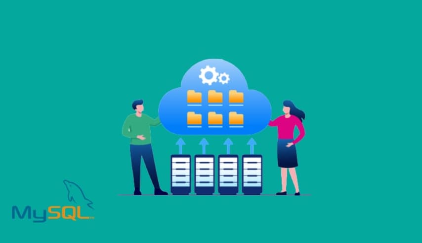 MySQL Database Administrator