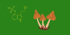 Usos médicos de la Psilocina