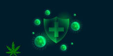 Sistema Inmune Y Cannabis