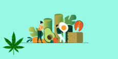 Cannabis y nutrición
