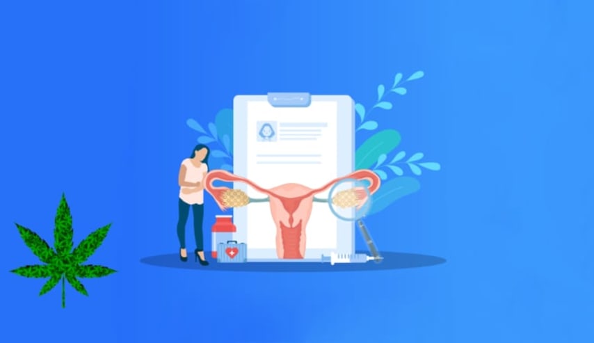 Fitocannabinoides en manejo de dolor crónico por endometriosis
