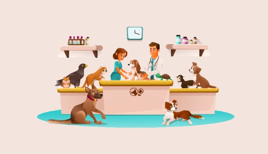 Uso terapéutico del cannabis en animales