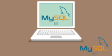 MySQL 8.0.