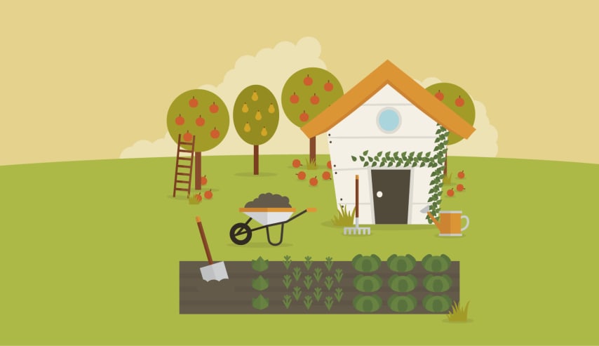 Un huerto ecológico en casa