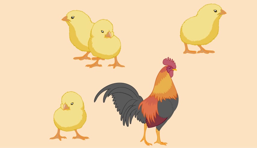 Descubre el mundo de las carnes. "Aves, Caza y otras carnes"