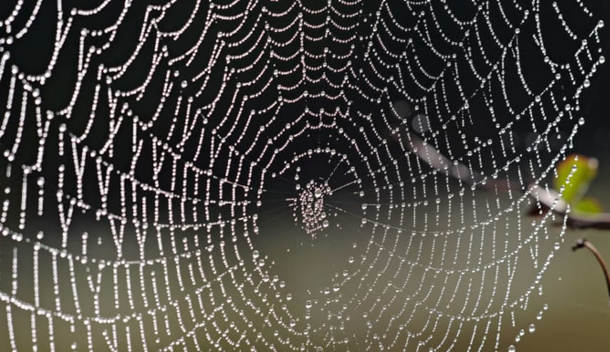 Técnicas y aplicaciones para la Web semántica