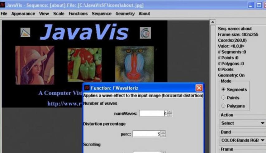 Aprende a utilizar el software JavaVis
