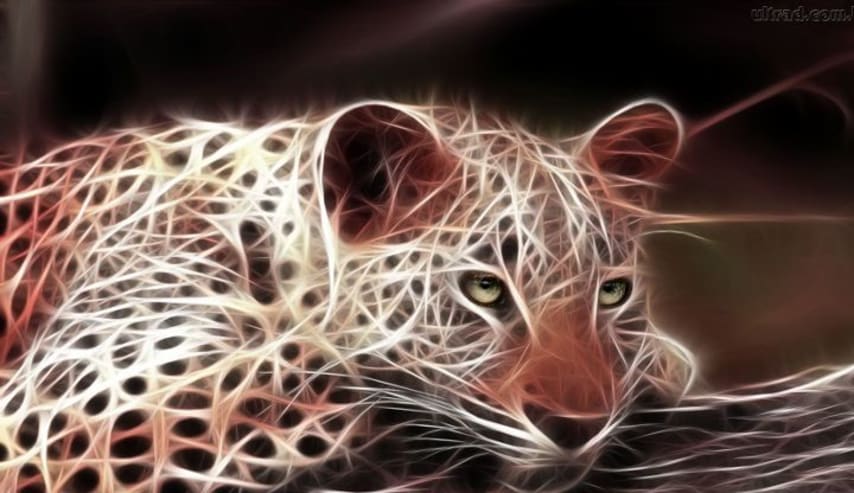 La Lógica de la Sustentabilidad; Sexo, Energía y Diseño