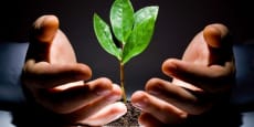 Innovación, Startups y Capital Riesgo en Argentina