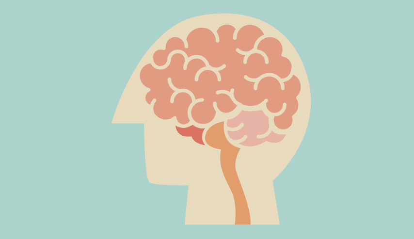Los circuitos neuronales de la consciencia