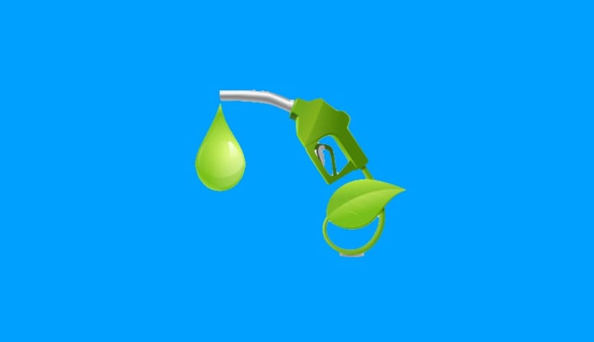 Presente y futuro de los biocombustibles
