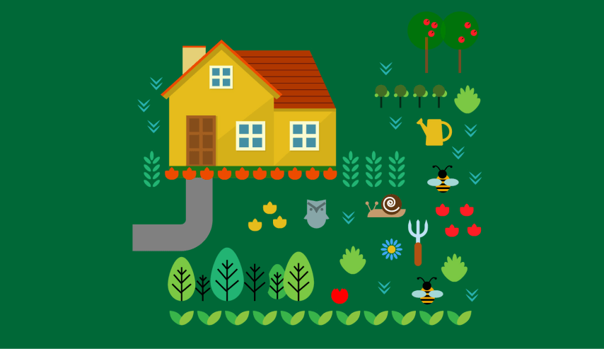 Aprende a diseñar y cultivar tu huerto ecológico