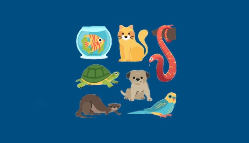 Taxonomía: Cómo identificar a los seres vivos