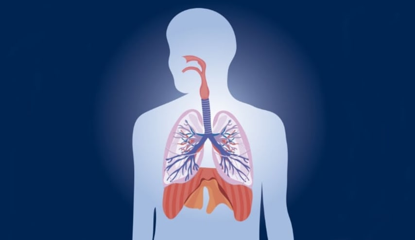 Enfermedades Respiratorias