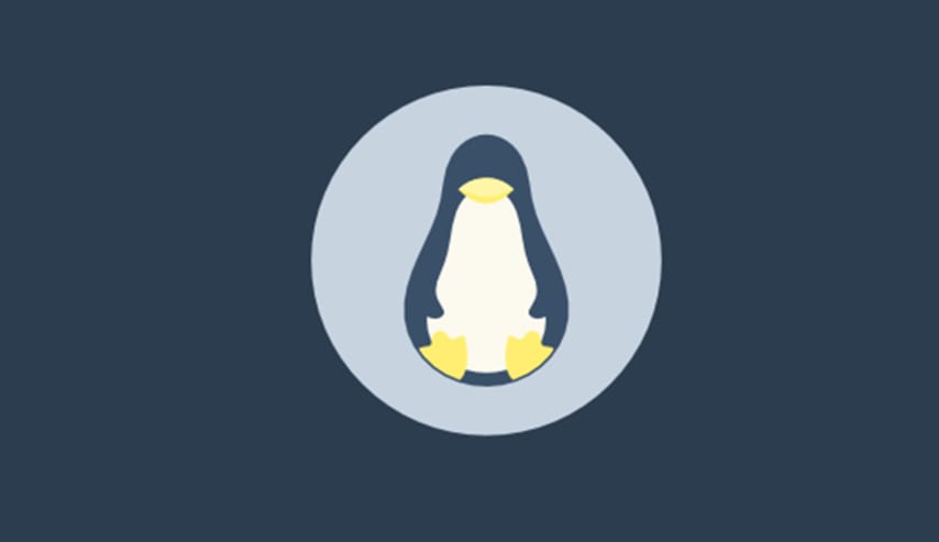 Curso básico de Linux