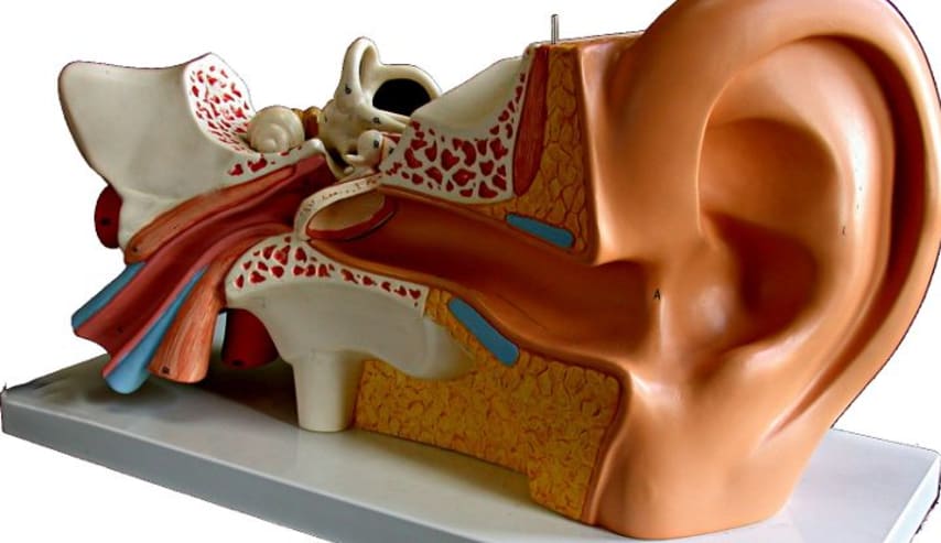 Dudas sobre problemas de Audición, con el Dr. Manrique