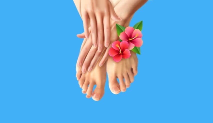Teoría en Manicura y Pedicura