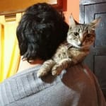 Esteban