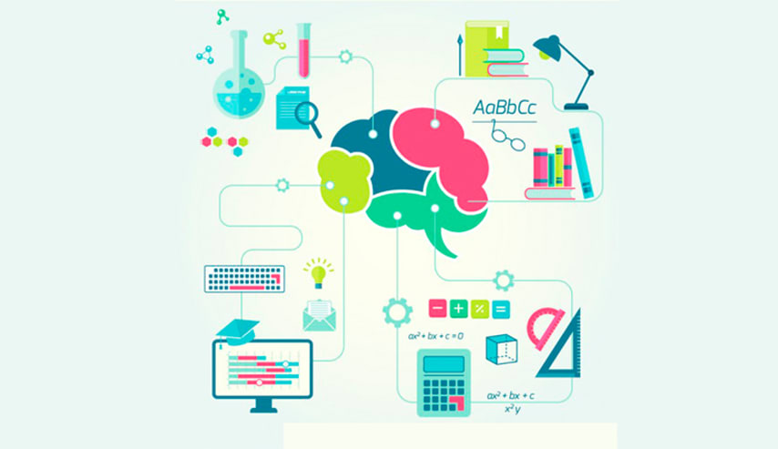 Funcionamiento del cerebro y Neuroeducación