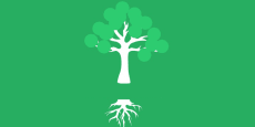 Lectura y comprensión del árbol genealógico o transgeneracional
