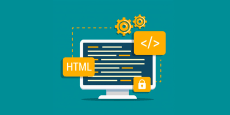 Curso completo de Divi | Profesional