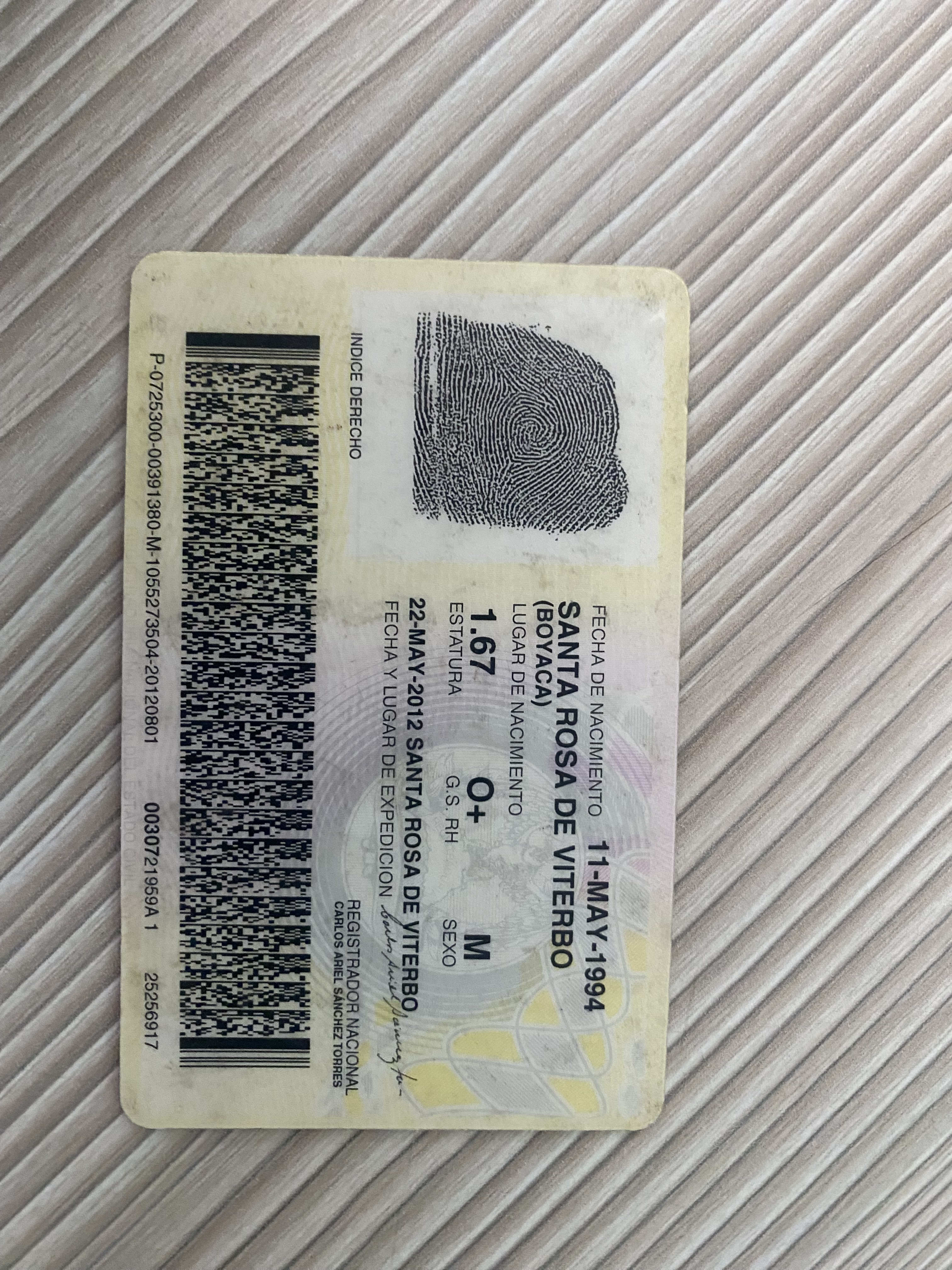 DANA VANESSA MENESES CASTRO