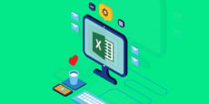 Tablas y Gráficos dinámicos en Excel: Estructura y organiza