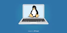 Linux para principiantes, pero bien explicado y con demo