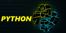 Python Full Stack Senior Developer