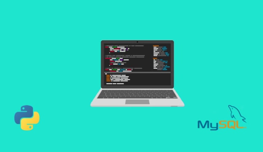 Professional Python Front end and Database