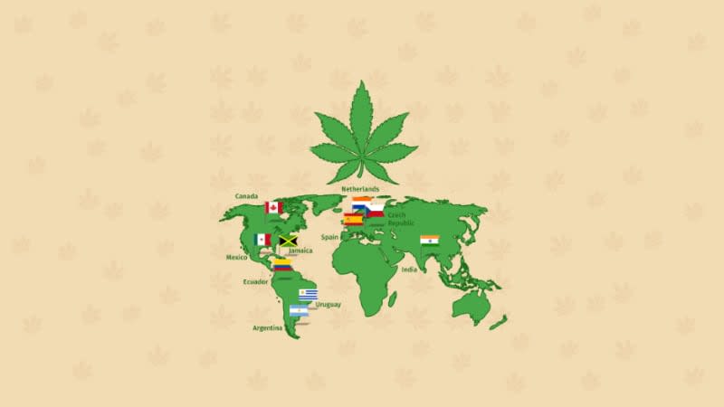 Regulación del cannabis medicinal a nivel global 