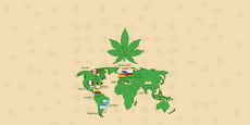 Regulación del cannabis medicinal a nivel global