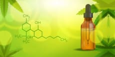 Metabolismo de los cannabinoides