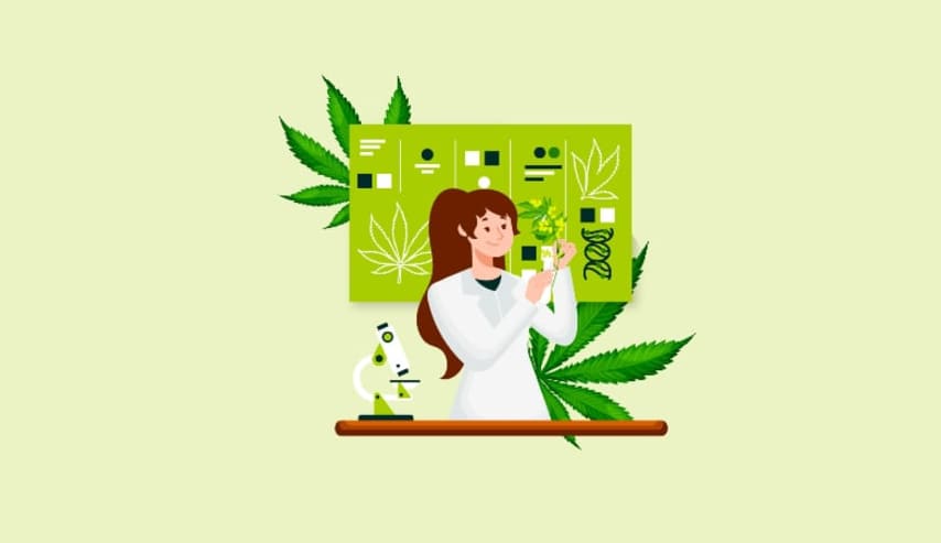 Genética y fitomejoramiento en el cannabis