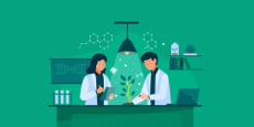 Establecimiento de laboratorios
