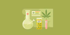 Componentes fisicoquímicos del cannabis