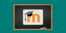 Moodle 3.10. para profesores