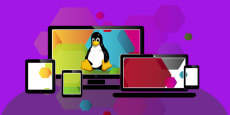 Seguridad Básica para Servidores y Desktops con Linux