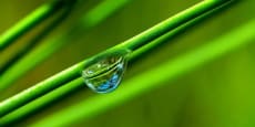La Fruta de una nueva vida: Ciencia y Agricultura