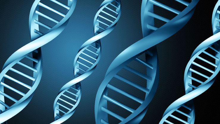 Genética para legos: qué son y para qué sirven los genes
