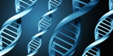 Genética para legos: qué son y para qué sirven los genes
