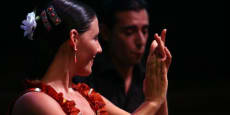El sistema musical flamenco, con Faustino Núñez