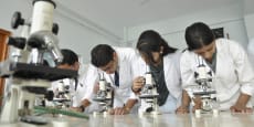 Técnicas básicas en laboratorios de Microbiología