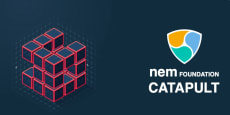 Certificación oficial NEM Catapult
