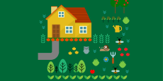 Aprende a diseñar y cultivar tu huerto ecológico