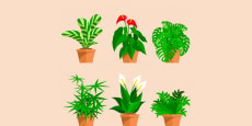 Creación de plantas 3D