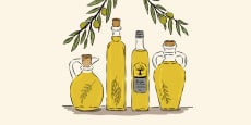 Aprende todo sobre el Aceite: Elaboración, Calidad y Cata