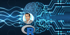 Redes Neuronales Aplicadas a la Inteligencia de Negocios